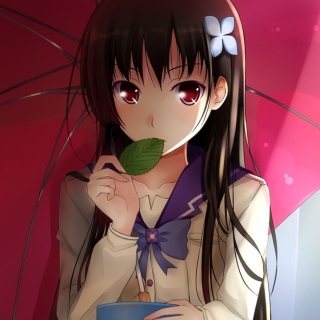 Sankarea - Obrázkek zdarma pro 2048x2048