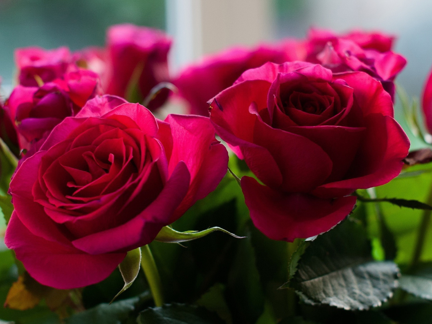 Обои Picture of bouquet of roses from garden 1400x1050