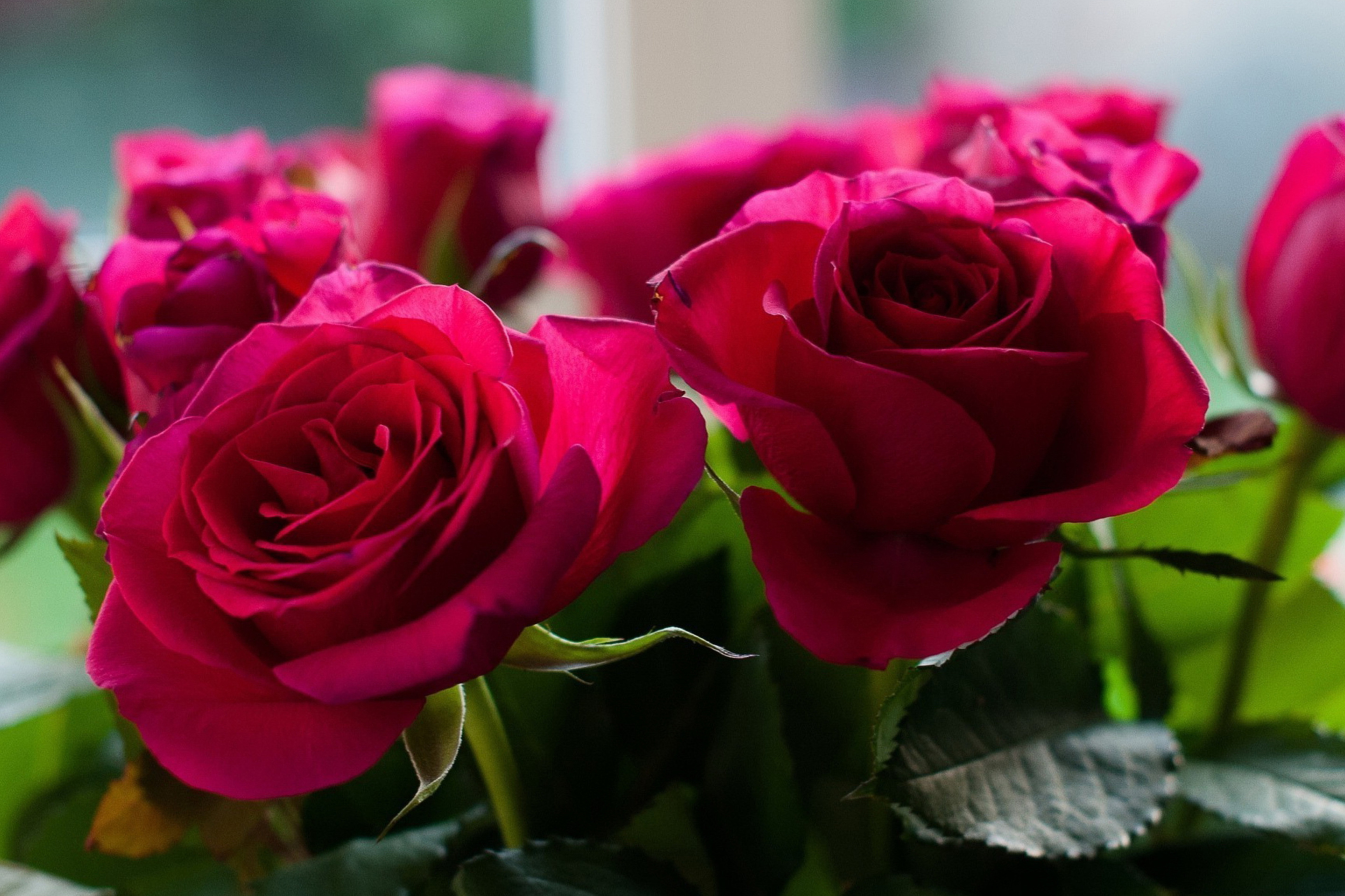 Обои Picture of bouquet of roses from garden 2880x1920