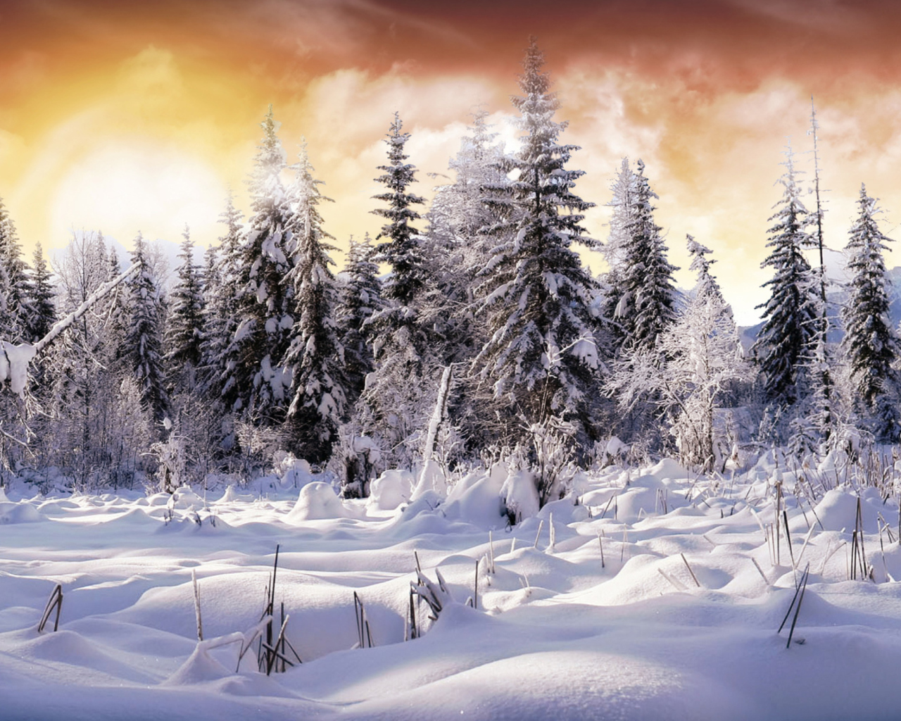Screenshot №1 pro téma Winter Wonderland 1280x1024