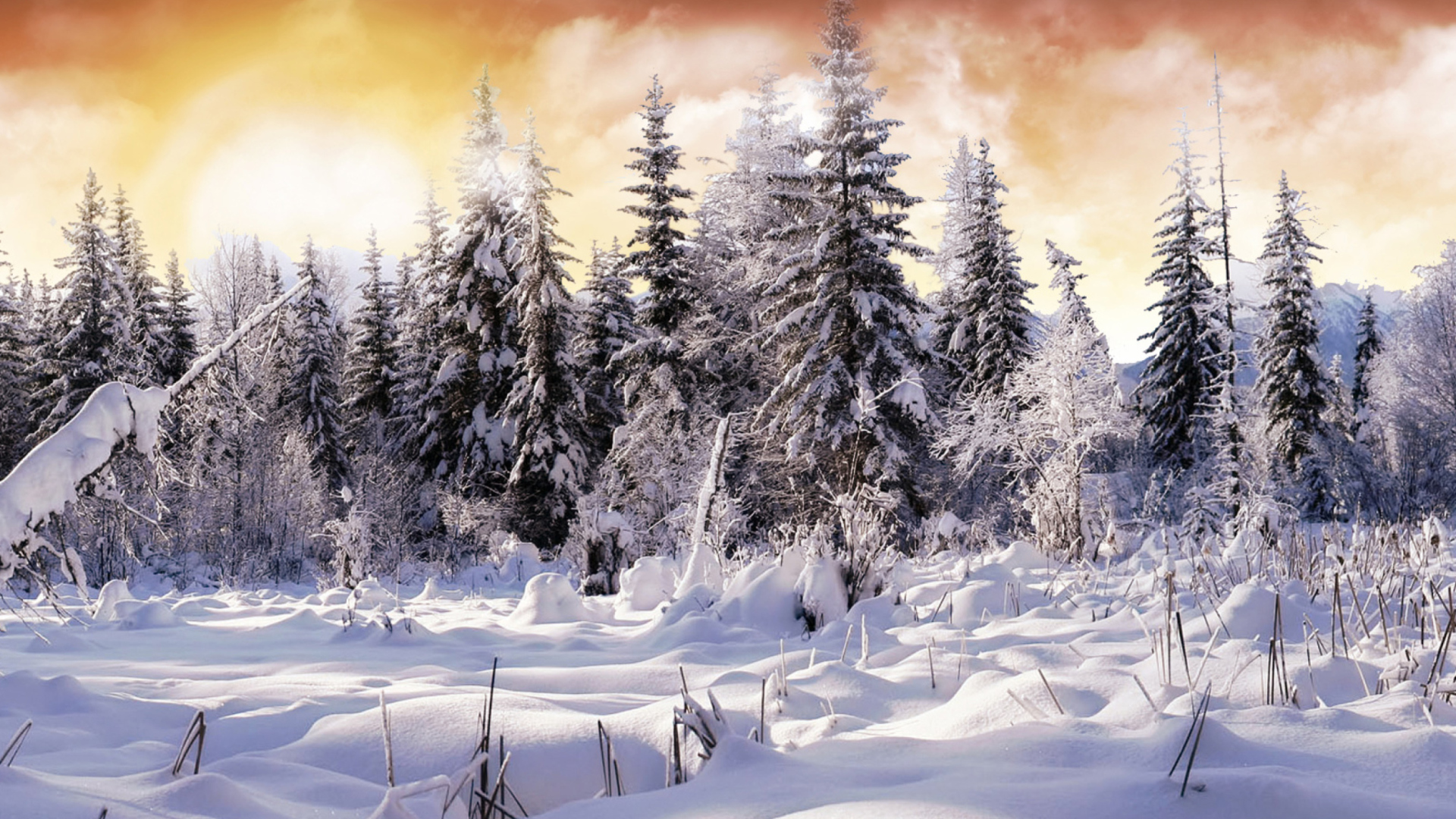 Winter Wonderland wallpaper 1920x1080