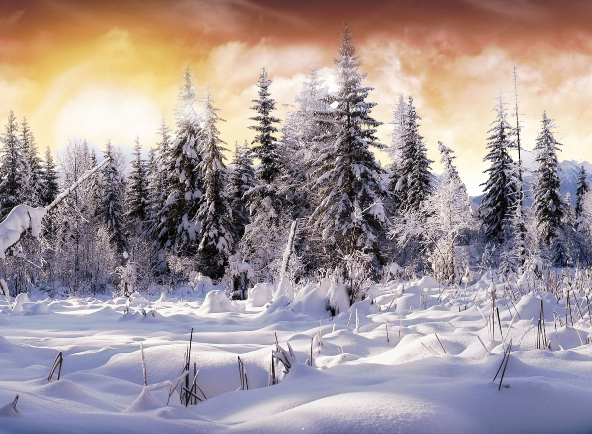 Winter Wonderland screenshot #1 1920x1408