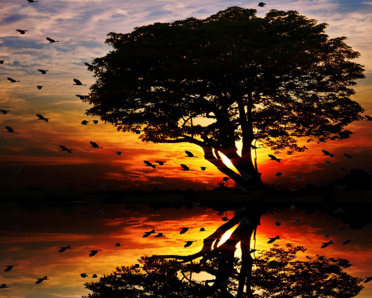 Tree And Red Sunset screenshot #1 1280x1024