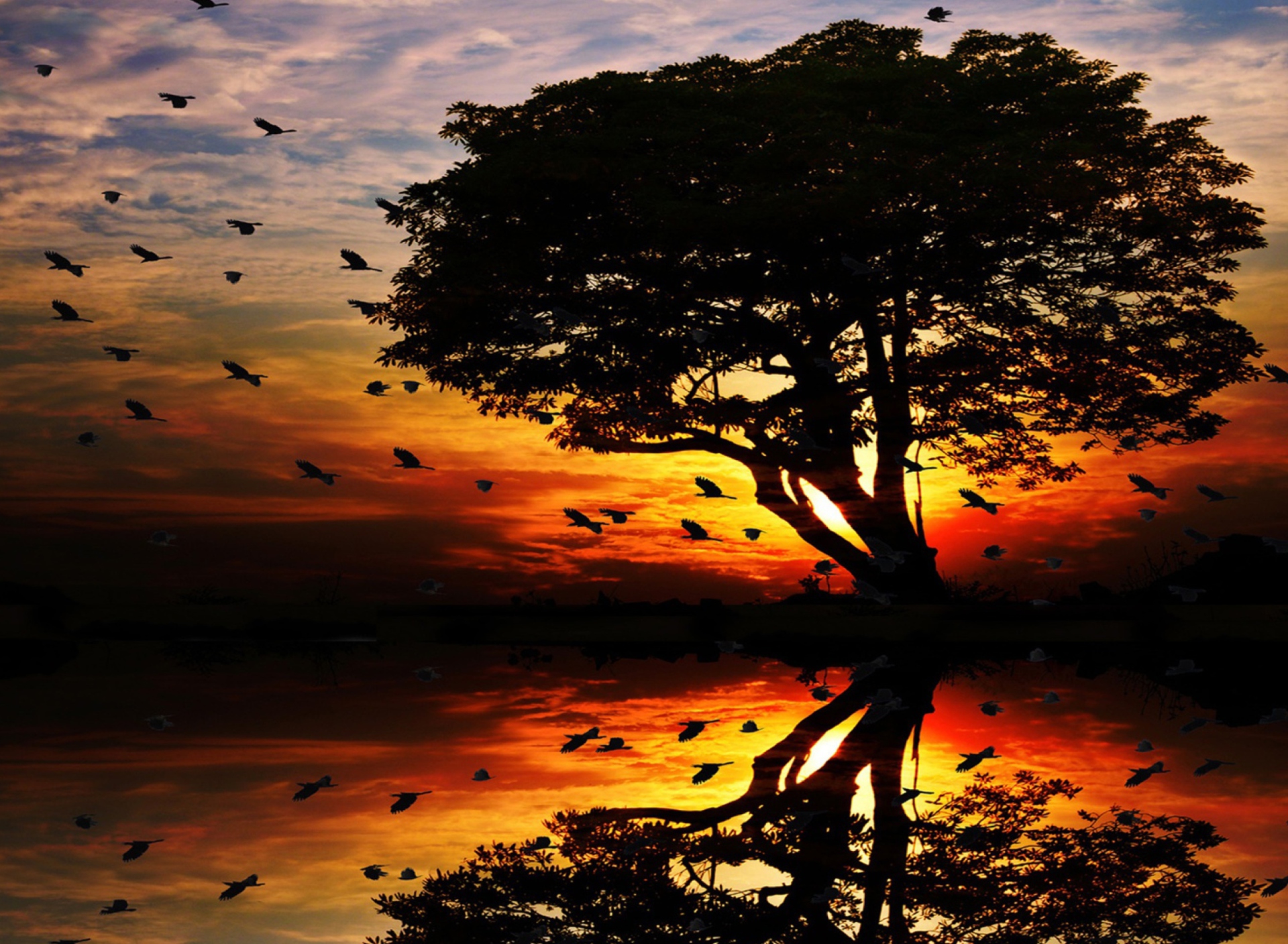 Das Tree And Red Sunset Wallpaper 1920x1408