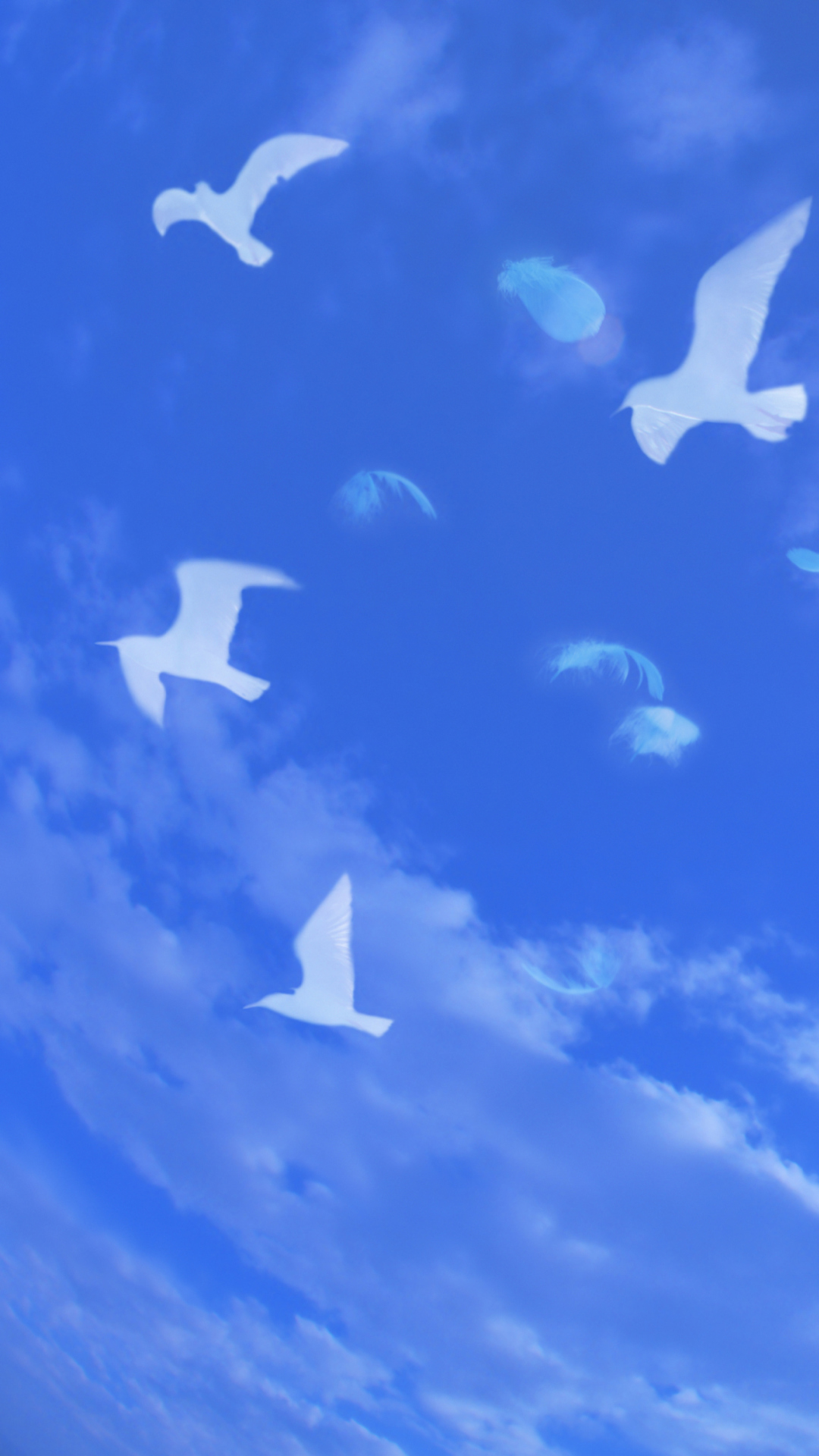 White Birds In Blue Skies wallpaper 1080x1920