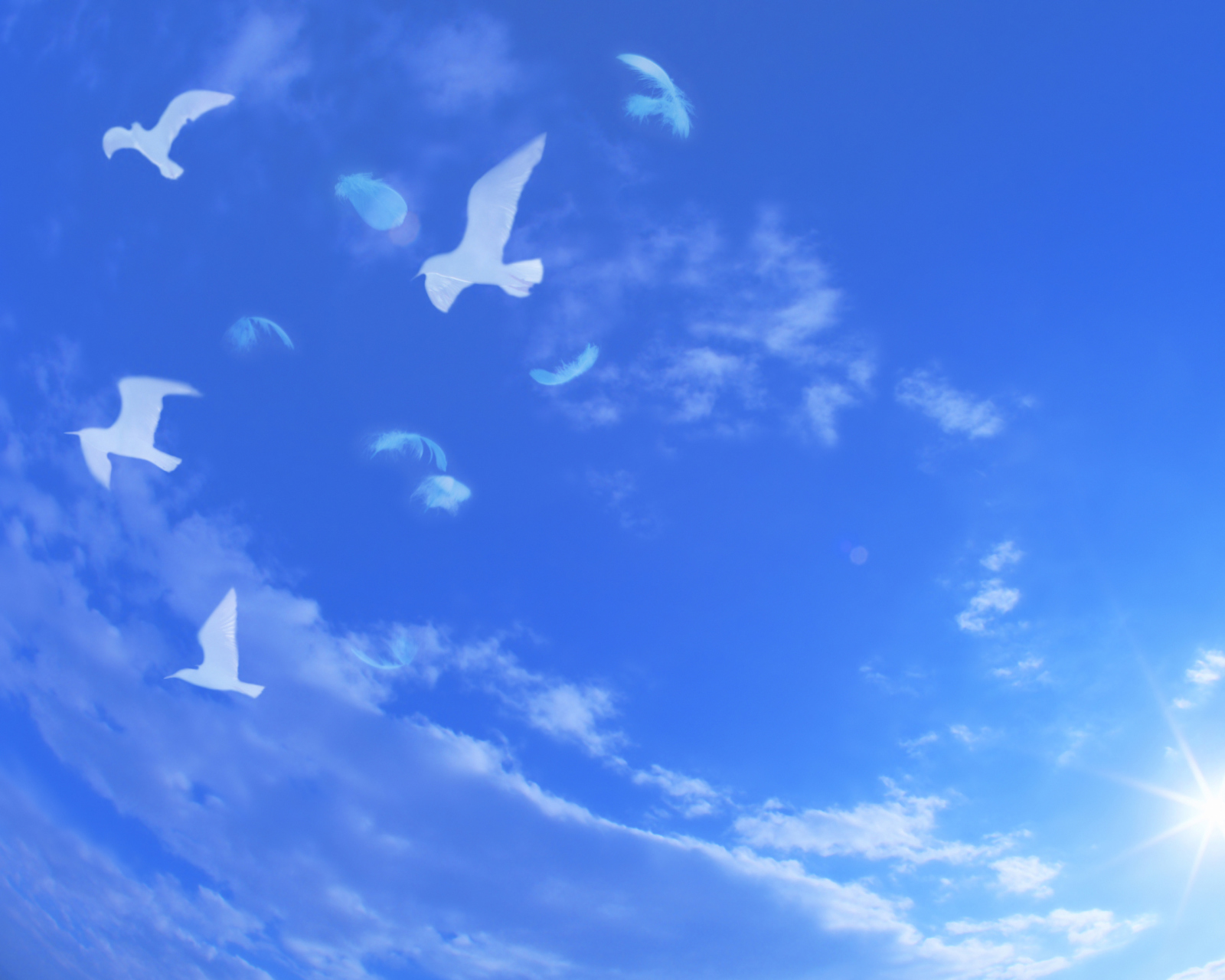 Screenshot №1 pro téma White Birds In Blue Skies 1600x1280