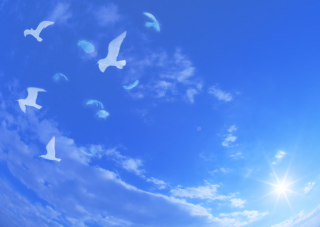 Free White Birds In Blue Skies Picture for Android, iPhone and iPad