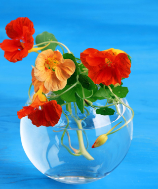 Amazing Bouquet - Obrázkek zdarma pro 640x960