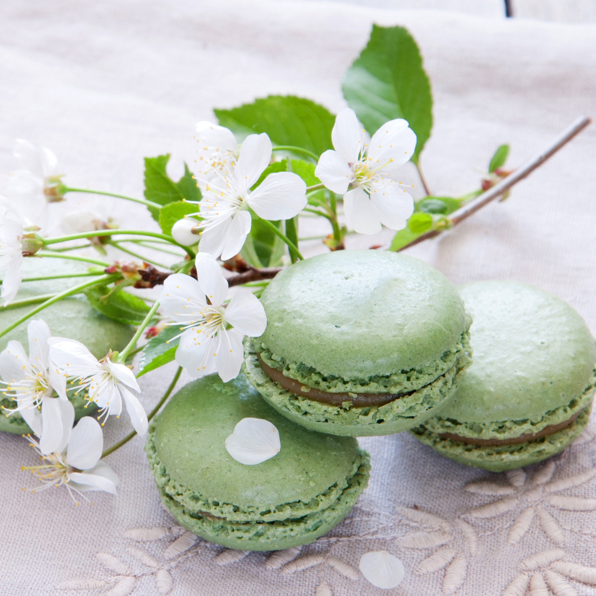 Spring Style French Dessert Macarons wallpaper 2048x2048