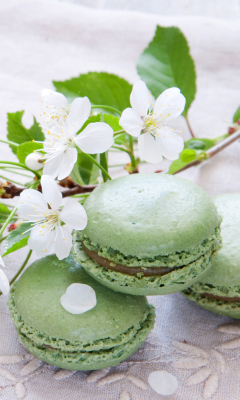 Spring Style French Dessert Macarons screenshot #1 240x400