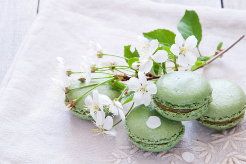 Spring Style French Dessert Macarons wallpaper 480x320
