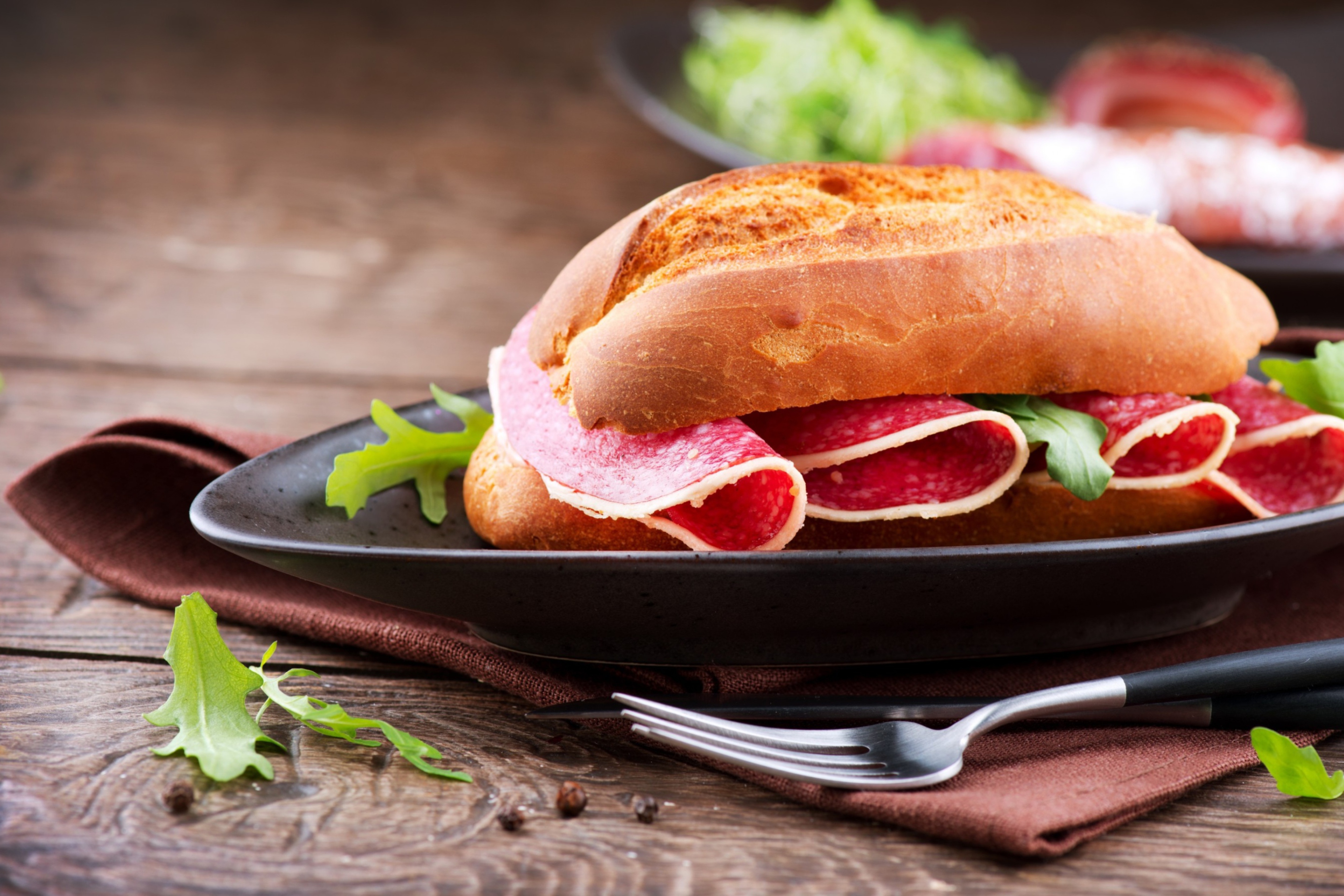 Salami Sandwich wallpaper 2880x1920