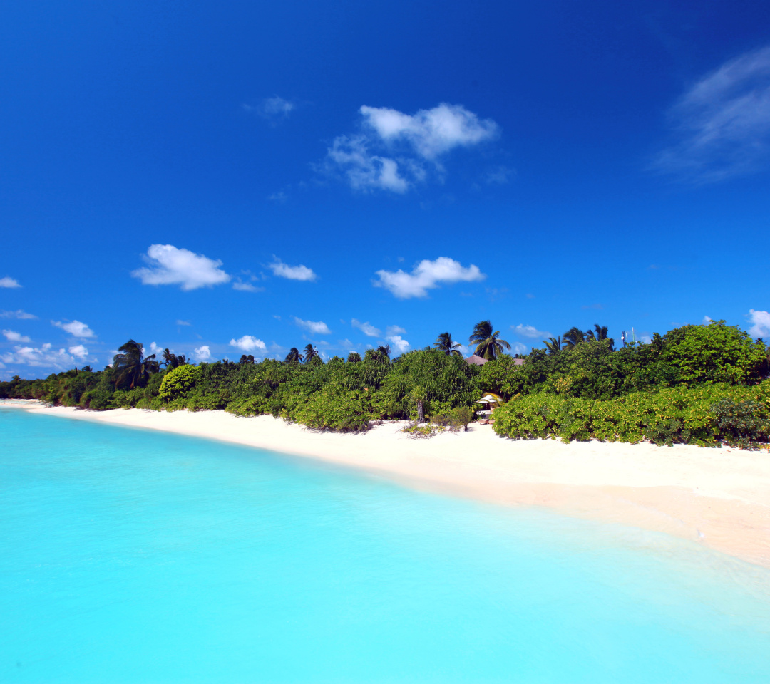 Maldives best white beach Kaafu Atoll screenshot #1 1080x960