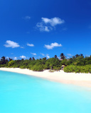 Fondo de pantalla Maldives best white beach Kaafu Atoll 128x160