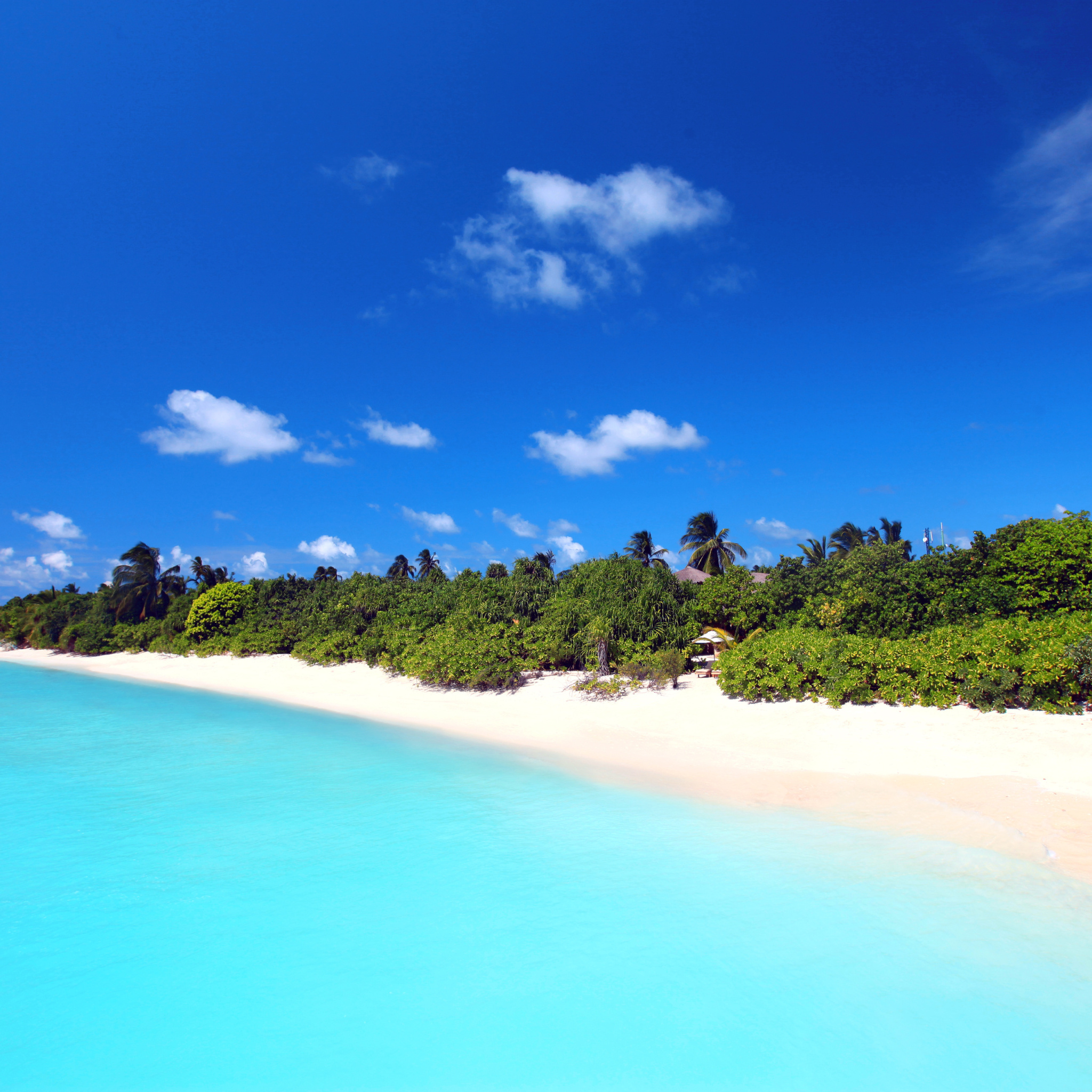 Fondo de pantalla Maldives best white beach Kaafu Atoll 2048x2048