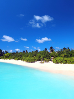 Fondo de pantalla Maldives best white beach Kaafu Atoll 240x320