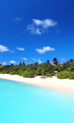 Das Maldives best white beach Kaafu Atoll Wallpaper 240x400