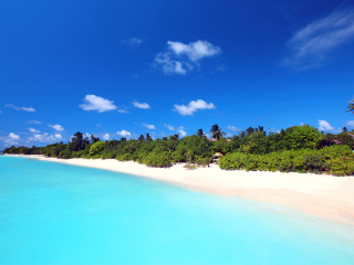Fondo de pantalla Maldives best white beach Kaafu Atoll 320x240