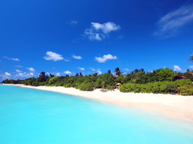 Обои Maldives best white beach Kaafu Atoll 640x480