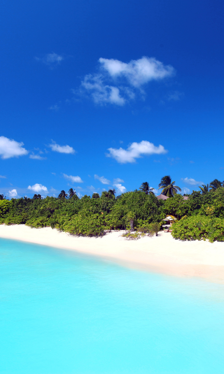 Das Maldives best white beach Kaafu Atoll Wallpaper 768x1280