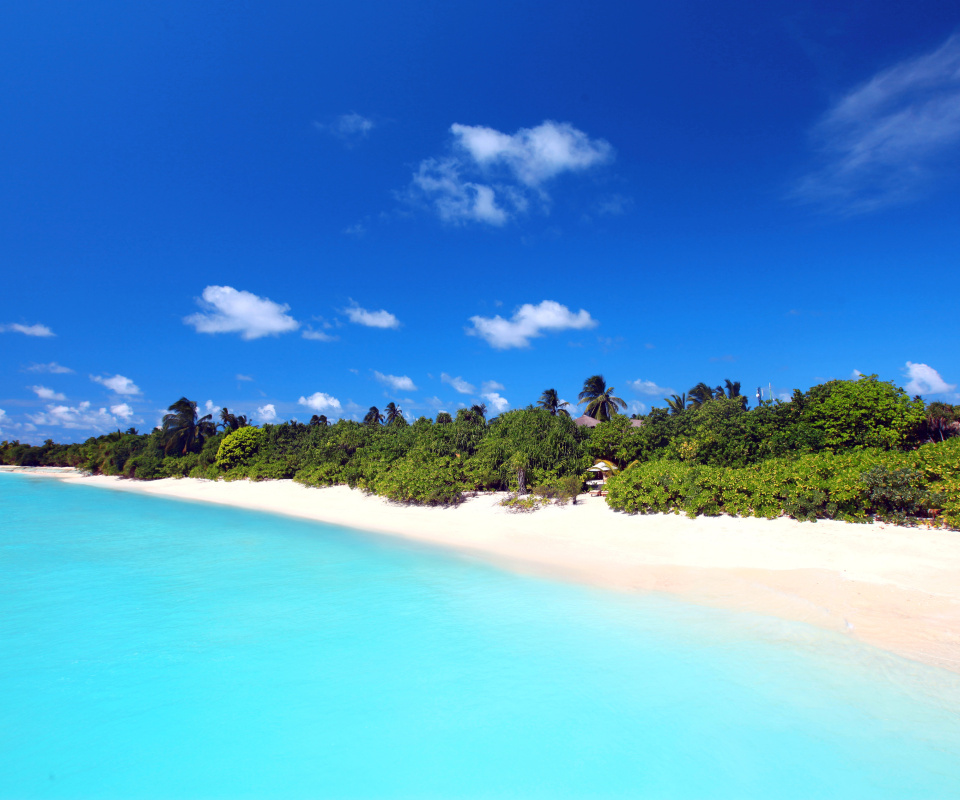 Maldives best white beach Kaafu Atoll screenshot #1 960x800