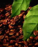 Обои Coffee Beans And Green Leaves 128x160