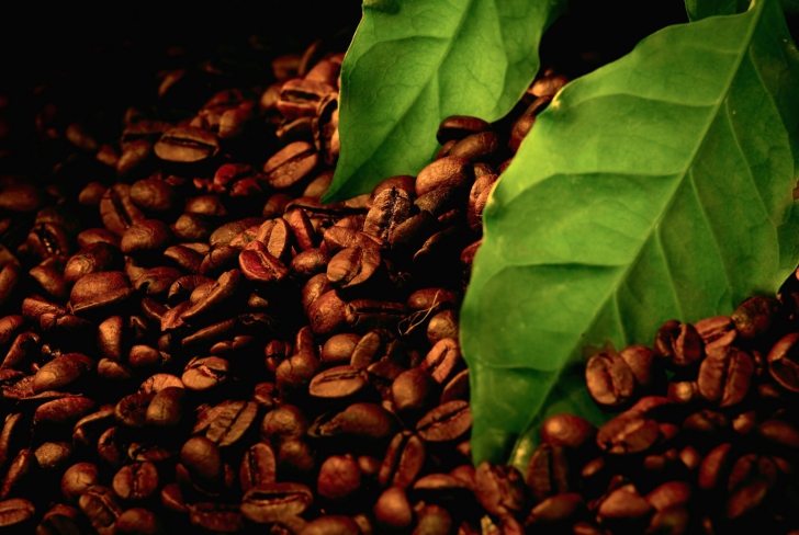 Screenshot №1 pro téma Coffee Beans And Green Leaves