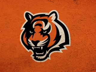 Cincinnati Bengals wallpaper 320x240