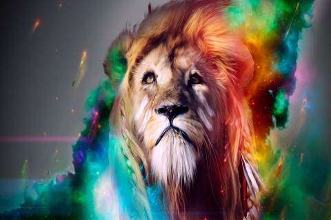 Lion Multicolor wallpaper 480x320