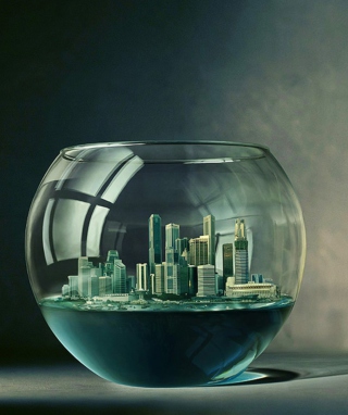 City Aquarium - Obrázkek zdarma pro iPhone 5