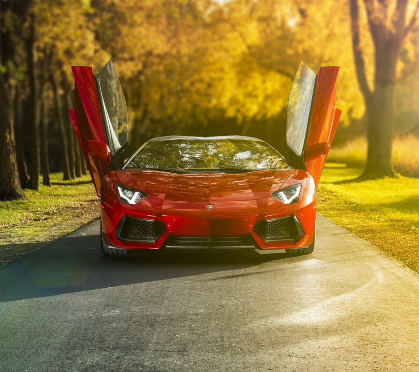 Sfondi Lamborghini Aventador Roadster 1440x1280