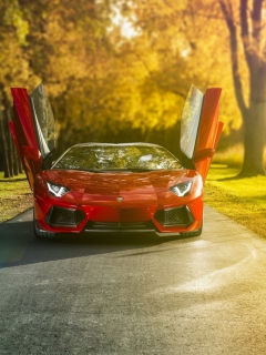 Screenshot №1 pro téma Lamborghini Aventador Roadster 240x320