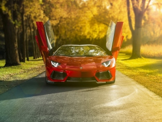 Lamborghini Aventador Roadster wallpaper 320x240