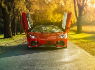 Lamborghini Aventador Roadster - Fondos de pantalla gratis 