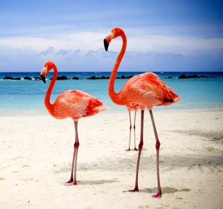 Kostenloses Flamingos On The Beach Wallpaper für iPad mini 2
