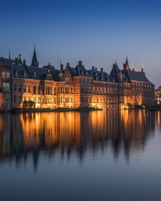 Binnenhof in Hague - Obrázkek zdarma pro 768x1280