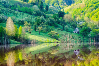 Amazing Reflections - Obrázkek zdarma 