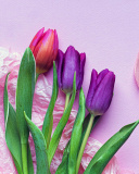 Pink Tulips wallpaper 128x160