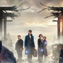 Das Fantastic Beasts and Where to Find Them Wallpaper 208x208