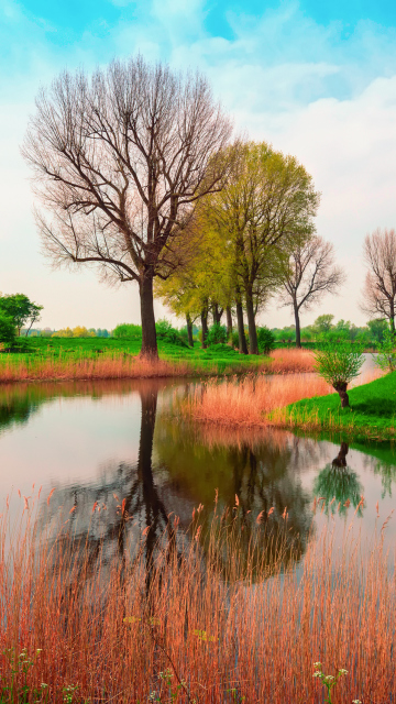 April In France wallpaper 360x640