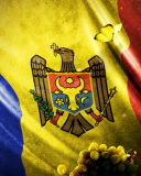 Screenshot №1 pro téma Moldova Flag 128x160