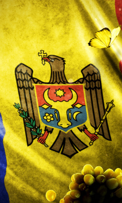 Das Moldova Flag Wallpaper 240x400