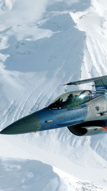 Fondo de pantalla F-16 Fighting Falcon 360x640