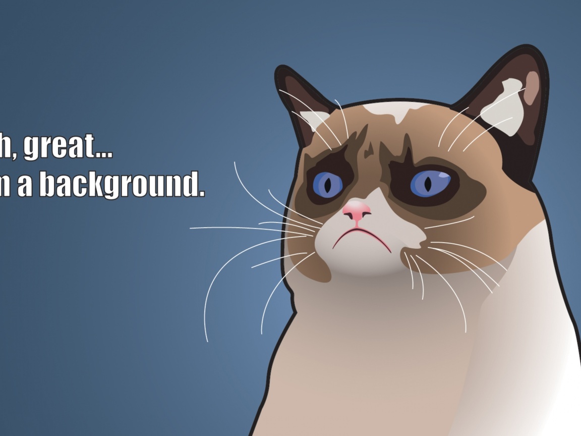Grumpy Cat, Oh Great Im a Background wallpaper 1152x864