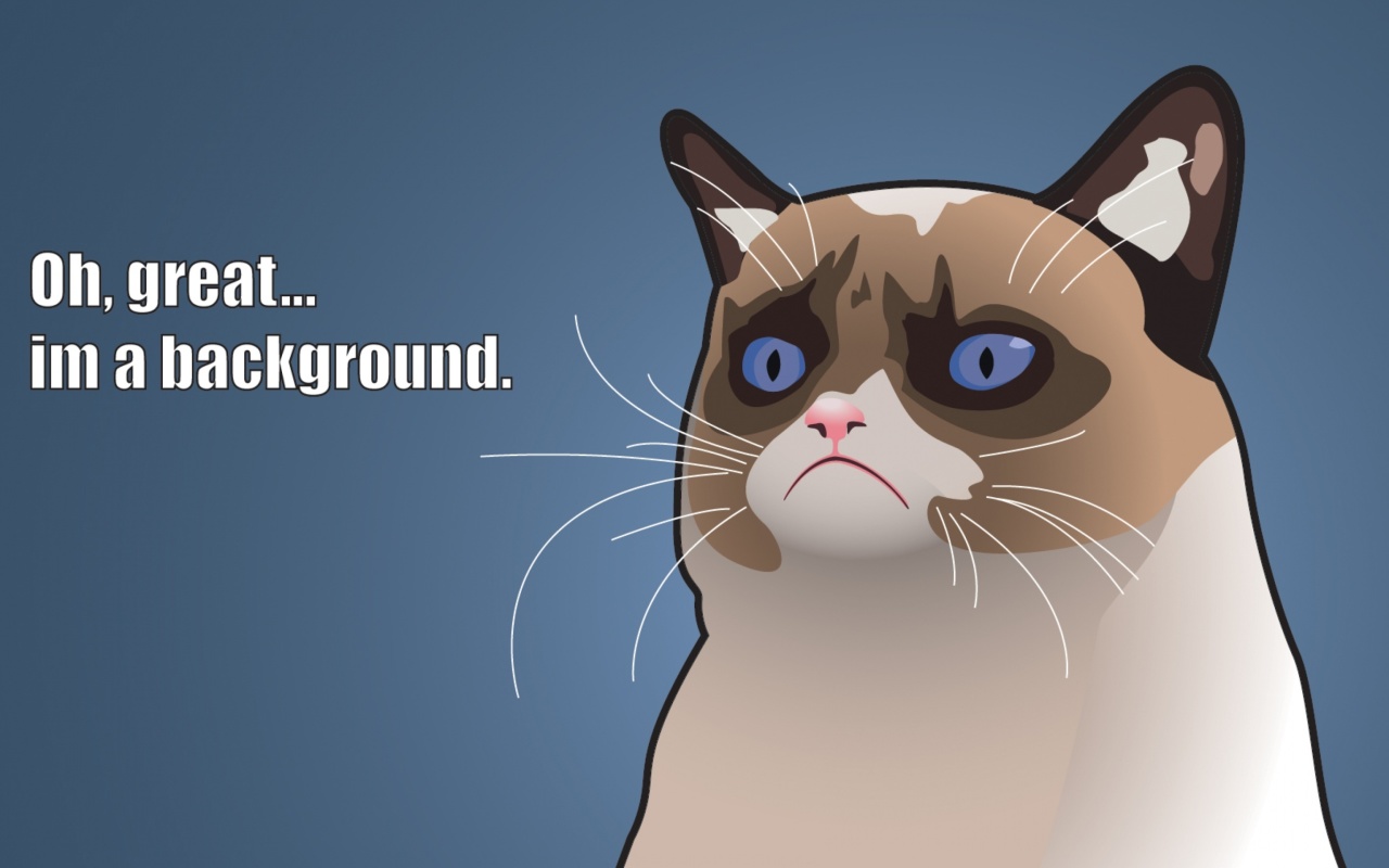 Fondo de pantalla Grumpy Cat, Oh Great Im a Background 1280x800