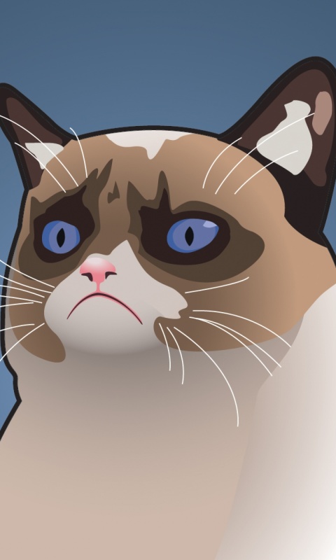 Das Grumpy Cat, Oh Great Im a Background Wallpaper 480x800