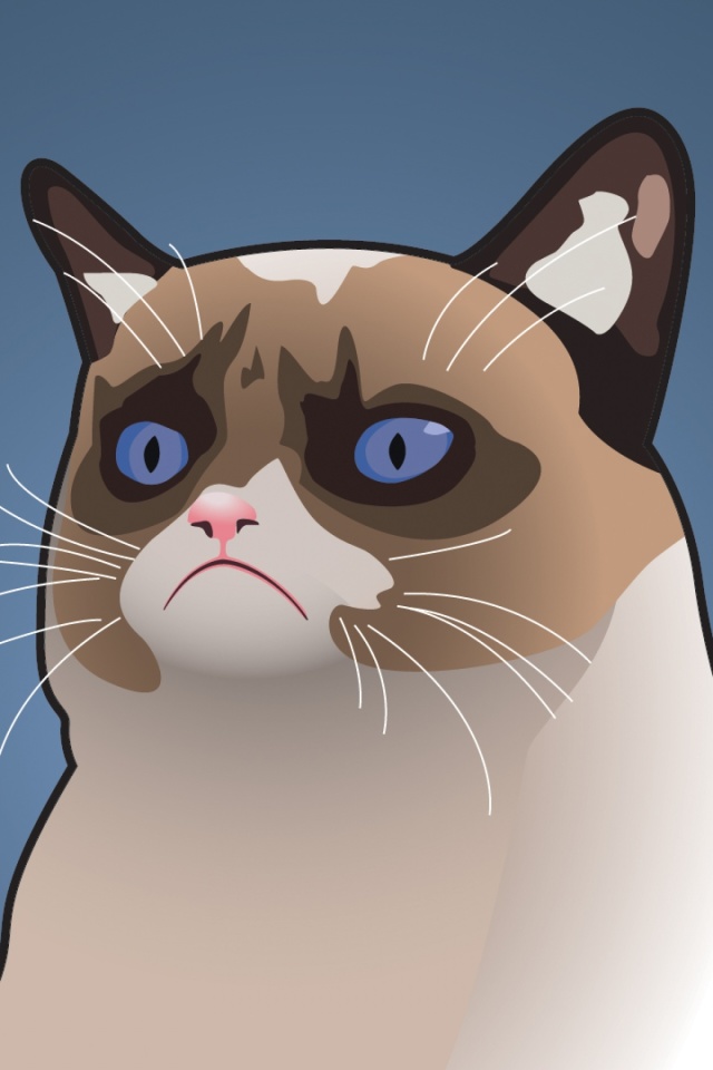 Обои Grumpy Cat, Oh Great Im a Background 640x960