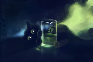 Black Kitten - Obrázkek zdarma pro HTC Wildfire