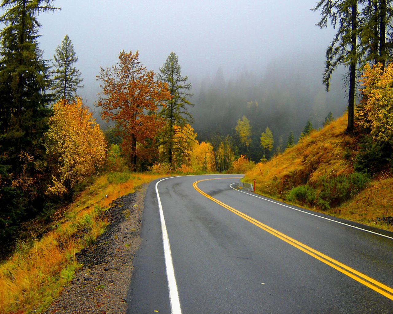 Fondo de pantalla Autumn Sodden Road 1280x1024