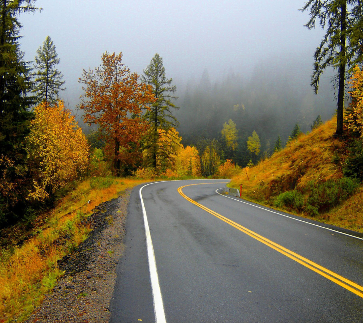 Autumn Sodden Road screenshot #1 1440x1280